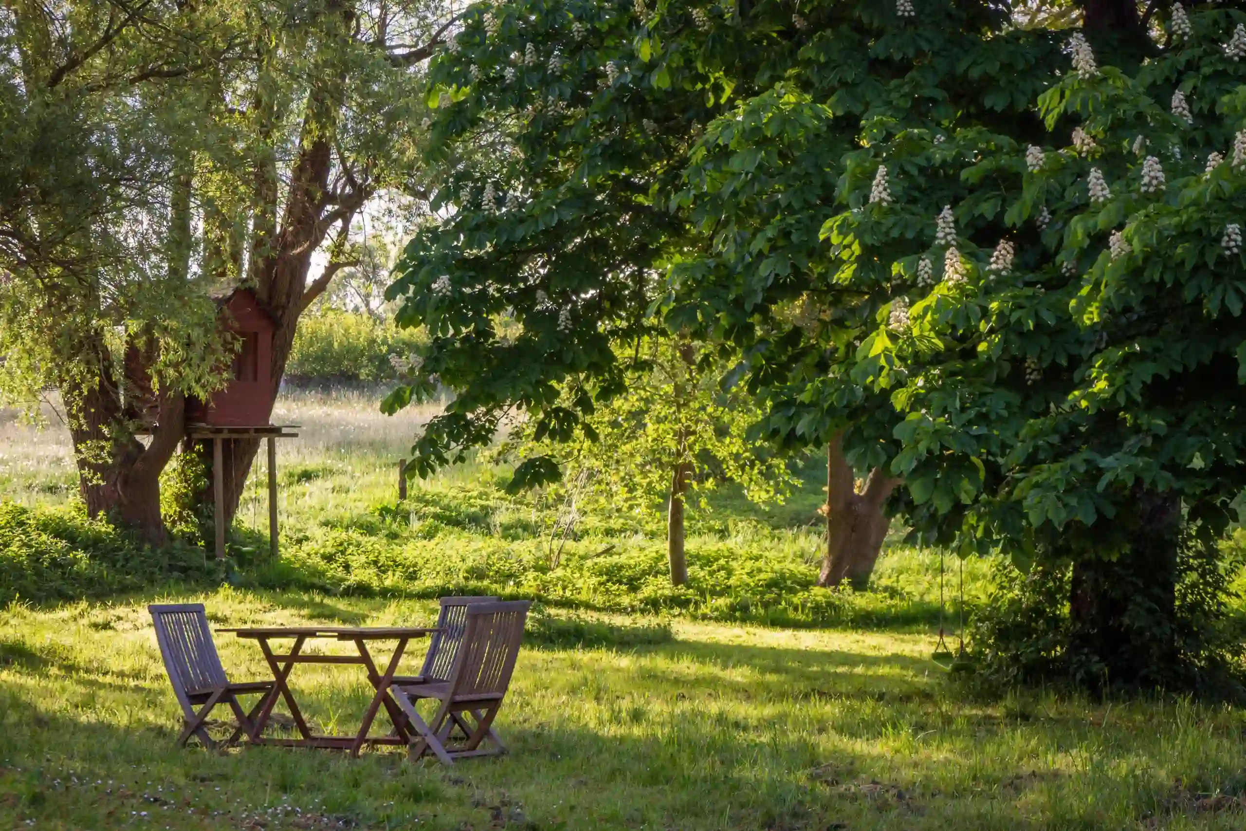 an outdoor seating area on green grass with trees and sunshine