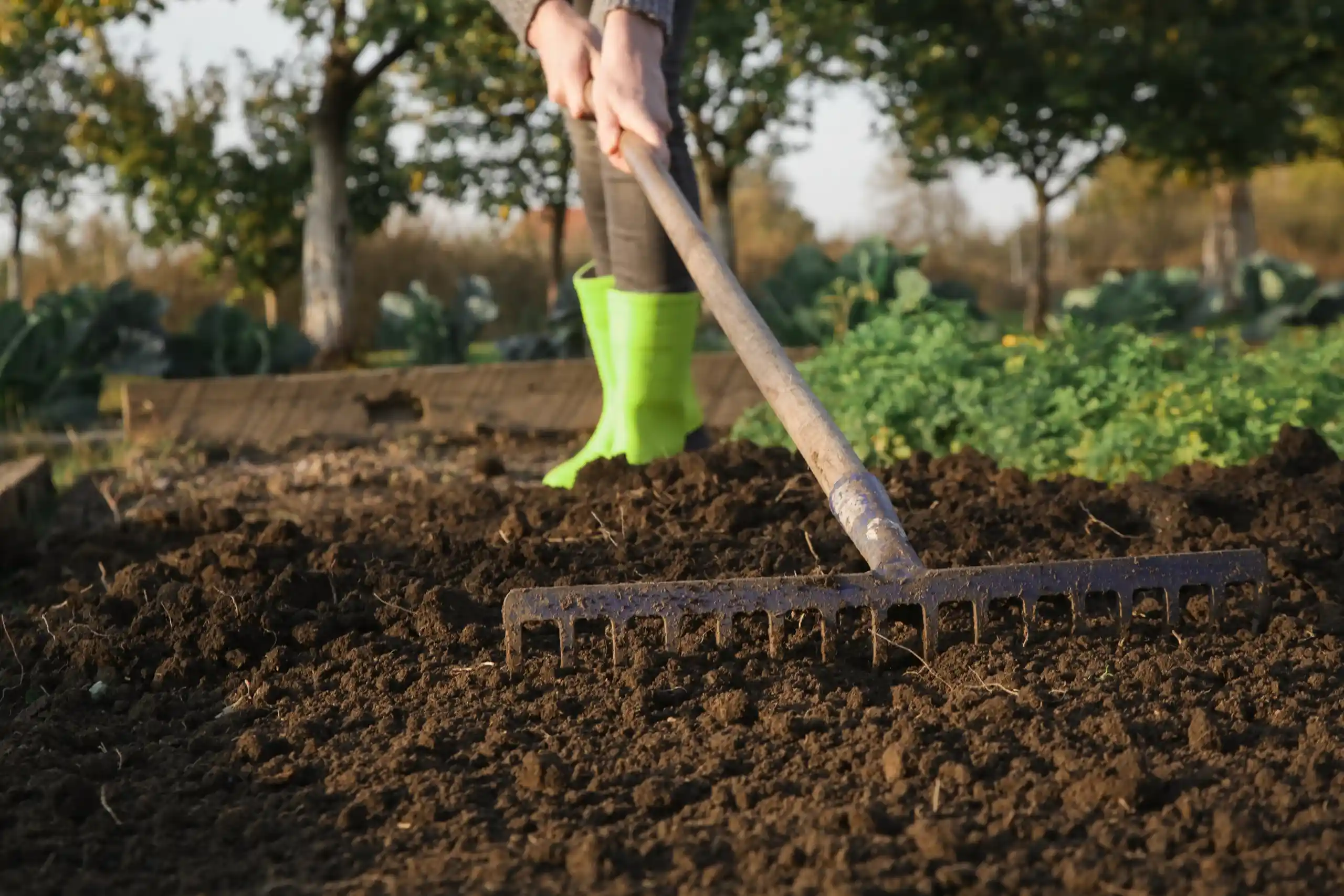 a gardener raking soil