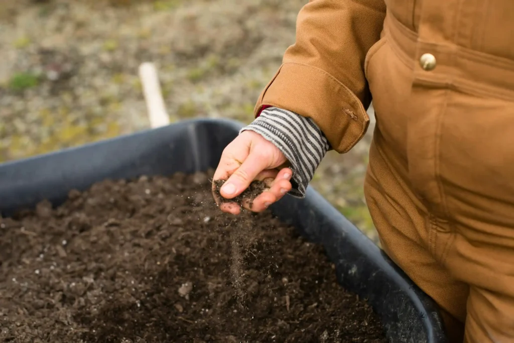 a person holding soil