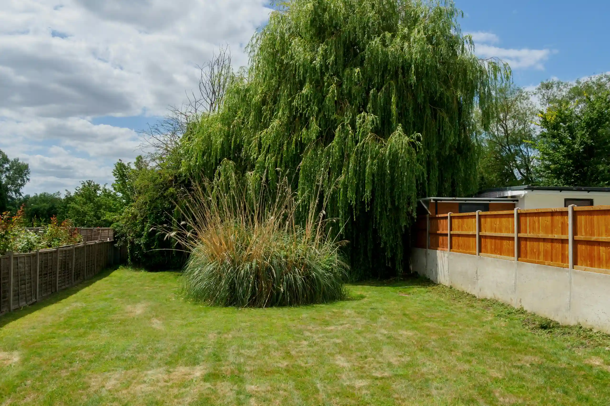 grass with brown patches