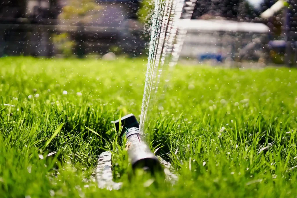 a sprinkler watering a lawn